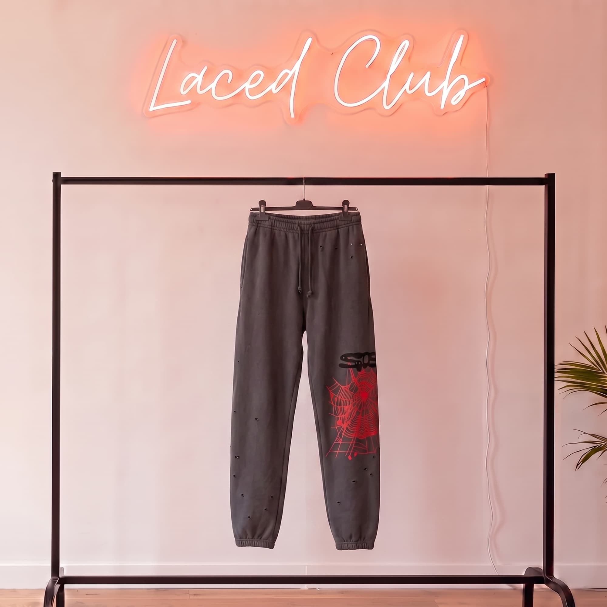 Sp5der Web Sweatpants — Black / Red
